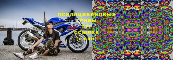 эйфоретик Алексин