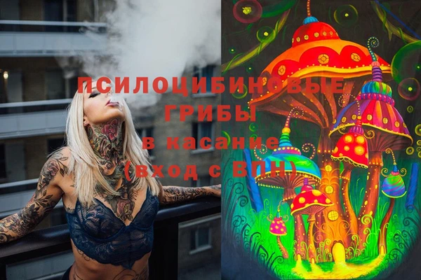 эйфоретик Алексин