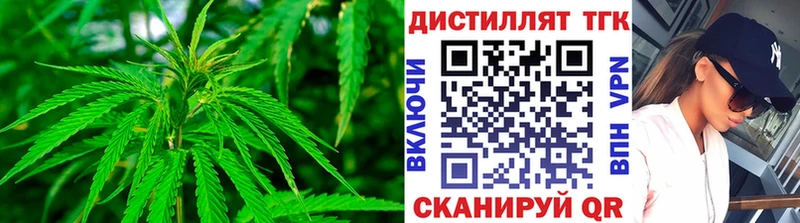Купить Петропавловск-Камчатский Дистиллят ТГК THC oil